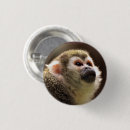 Zoek naar fokkers buttons Apen