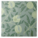 Recherche de illustrations vintages de fruit Illustration vintage