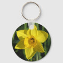 Recherche de jonquille accessoires Jolie