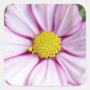 Zoek naar bloem hoofd stickers Close up