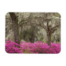 Recherche de les etats unis magnets Usa