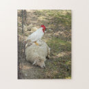 Recherche de mouton puzzles Poulet