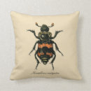 Recherche de scarabées coussins Entomologie