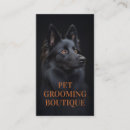 Recherche de belge cartes visite Toute personne