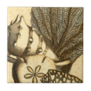 Zoek naar kwallen tegels Zeewier