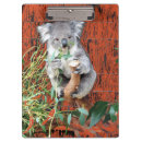 Recherche de koala porte blocs Australie