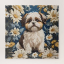 Zoek naar shih tzu puzzels Puppy