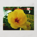 Recherche de état de hawaii cartes postales Hibiscus