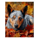 Recherche de bovin posters Dog