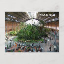 Recherche de paume cartes postales Tropical