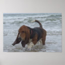 Recherche de animaux mer posters Vacances