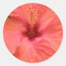Recherche de macro autocollants Fleurs