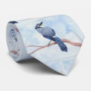 Zoek naar bluejay Zangvogel
