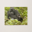 Zoek naar gorilla puzzels Baby