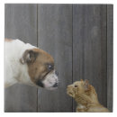 Recherche de vue de face carreaux Chien