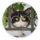 Recherche de chat drôle boutons et poignées de porte Amoureux de les chats