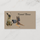 Recherche de bergers allemands cartes visite Chien