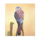 Recherche de oiseau coloré blocsnotes Faune