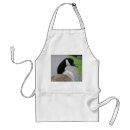 Recherche de oies tabliers Oiseaux