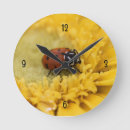 Recherche de ladybug horloges Rouge