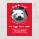 Recherche de rappel vétérinaire cartes postales Soin des animaux