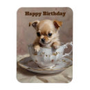 Zoek naar chihuahua puppy magneten Grappig