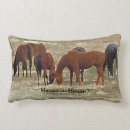 Zoek naar verlies paard geschenken Paarden