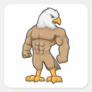 Recherche de hawk autocollants Drôle