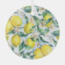 Recherche de agrume ornements Citron