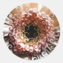 Recherche de gerbera rose autocollants Flore