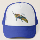 Recherche de sauterelle casquettes Insecte