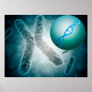 Recherche de cellules posters Bleu
