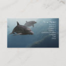 Recherche de dauphins cartes visite Mer