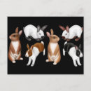 Recherche de petits pains cartes postales Bun