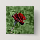 Recherche de rouge de fleur badges Conception