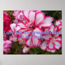 Zoek naar rode geranium posters Mooi