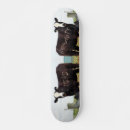 Recherche de vache skateboards Bétail