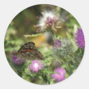 Zoek naar doornen stickers Bloem