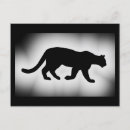 Zoek naar puma briefkaarten Cougar