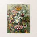 Recherche de orchid puzzles Botanique