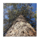 Recherche de pins carreaux Rustique