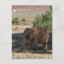 Recherche de namibie afrique cartes postales Paysage