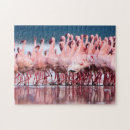 Recherche de flamingo puzzles Animal