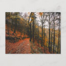 Recherche de osier cartes postales Orange
