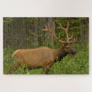 Recherche de alberta puzzles Bois