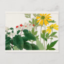 Recherche de rudbeckias cartes postales Plante