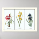 Recherche de botanique vintage art Illustration