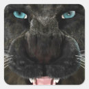 Zoek naar panters stickers Zwart