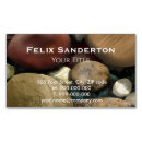 Recherche de galets cartes visite Plage