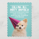 Zoek naar puppy party uitnodigingen Dogs